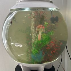 BiOrb 60 Fish Tank