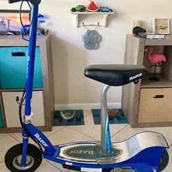 Razor E300S Seated/Stand Electric Scooter 