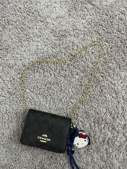 Coach Mini Crossbody Bag with Chain Strap
