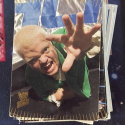 Small stack of WWE cards 5$