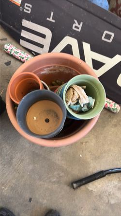 Pots and gardening things