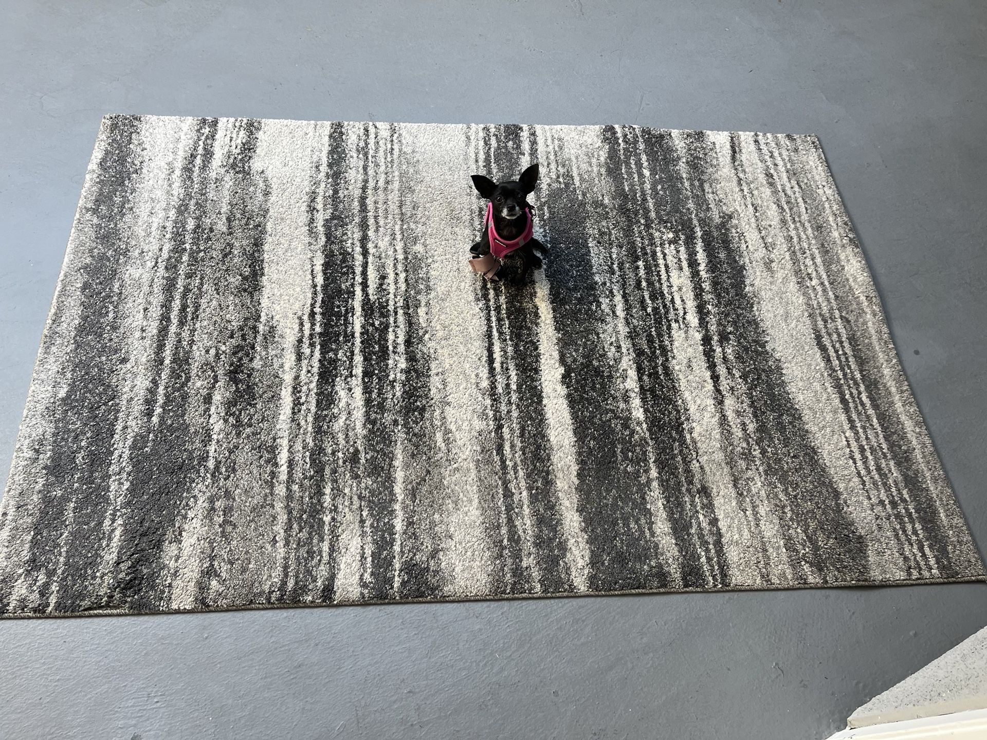 Large Fancy Rug | Safavieh Vintage Decorative Rug | Retro Multicolor Dark Grey/Light Grey Rug | 122*183 cm