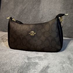 Coach Teri Shoulder Bag Signature Canvas Crossbody in Gold/Walnut/Black
