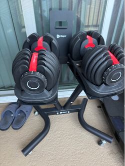 Bowflex Weights with Stand