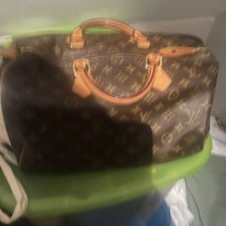 Louis Vuitton Purse 