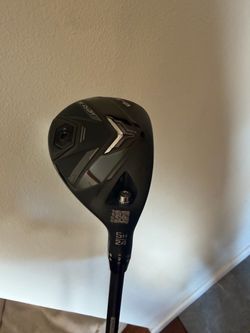 Cobra DS adapt 5H