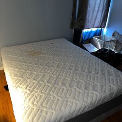 Queen Size Bed With Tempered Mattress 