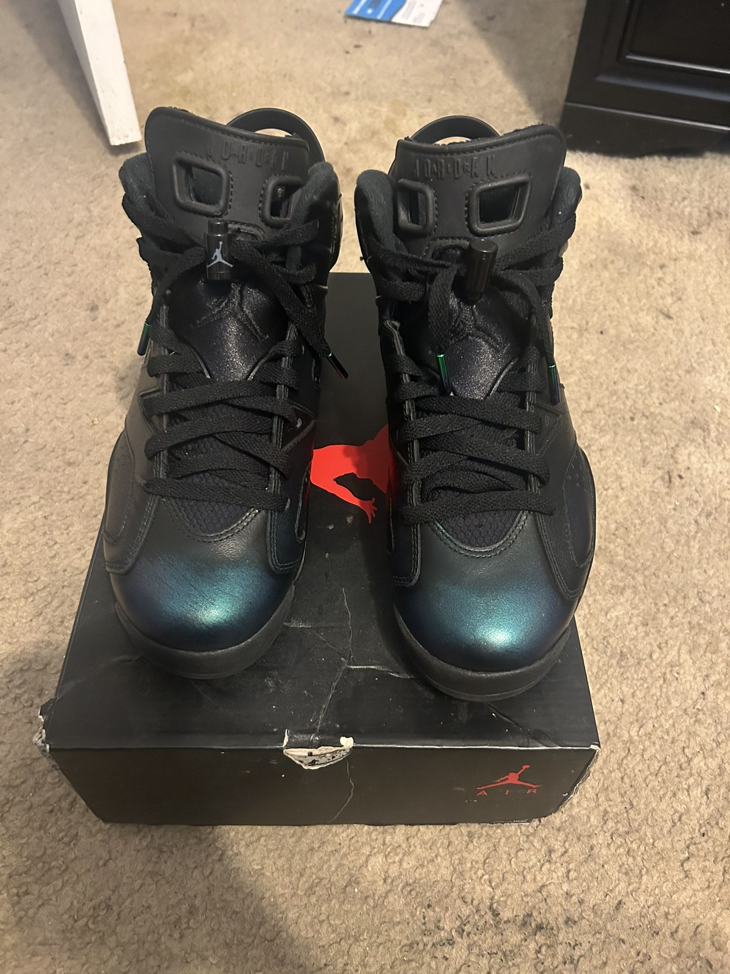 Jordan 6 All Star Chameleon Size 7mens