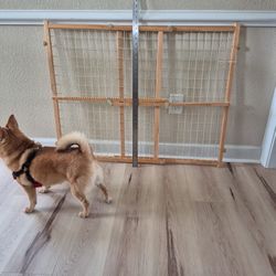 Doggy X-large Gate 