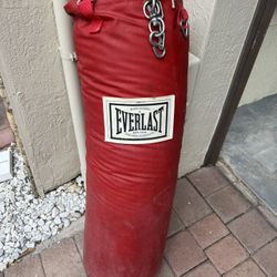 80 lbs Punching bag 