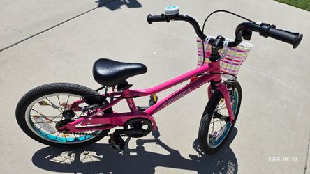 Guardian 16 Inch Bike - Pink Aqua