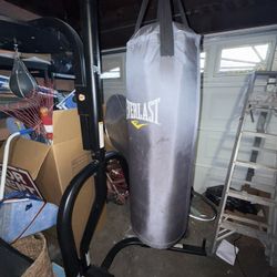 Everlast Punching Bag 