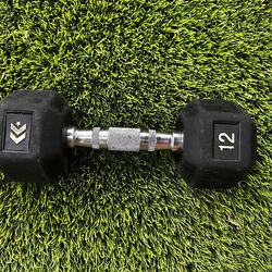 12lb BLACK DUMBBELL PROFESSIONAL