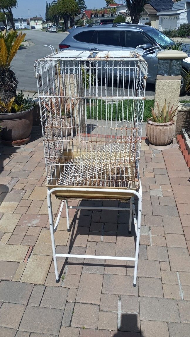 Bird Cage
