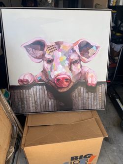 Pig picture