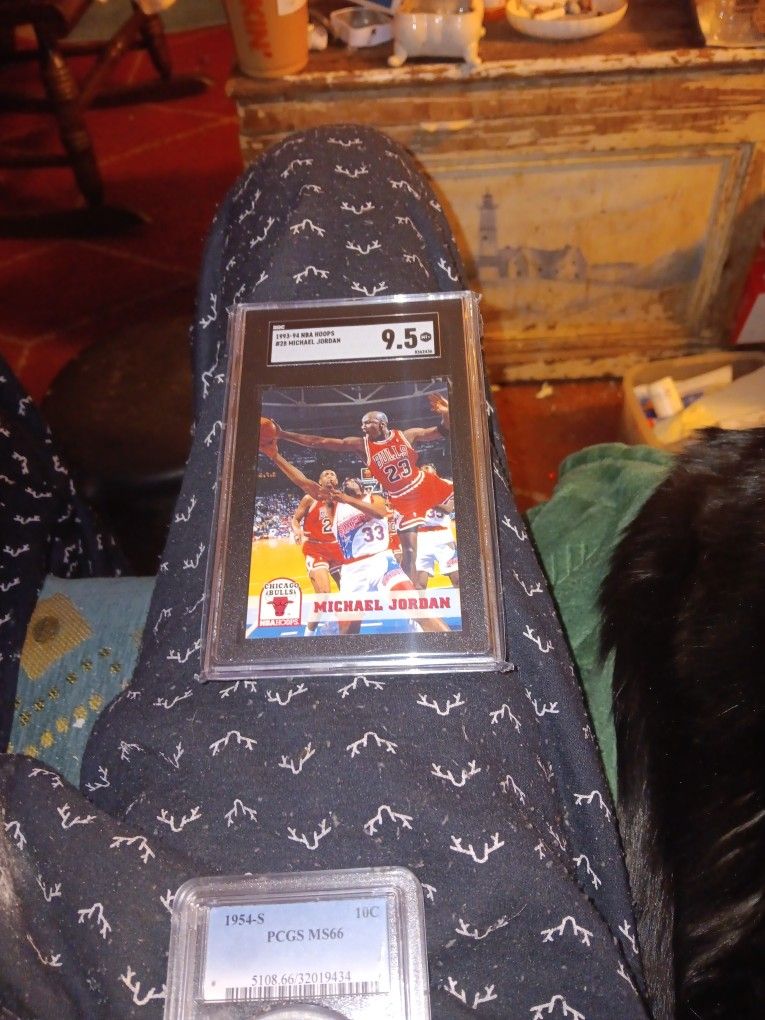 93-94- MICHAEL JORDAN