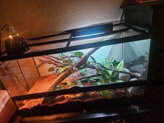 Custom terrarium building