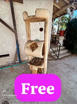 Cat playground free