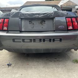 03/04 Cobra DSG Bumper