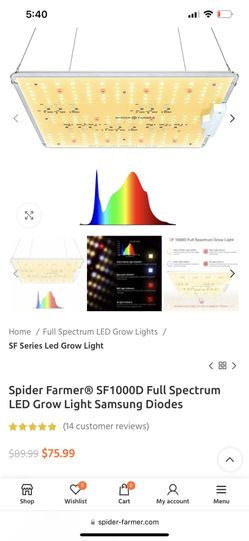 Spider Farm Light