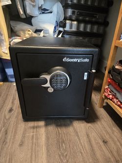 Sentry Safe