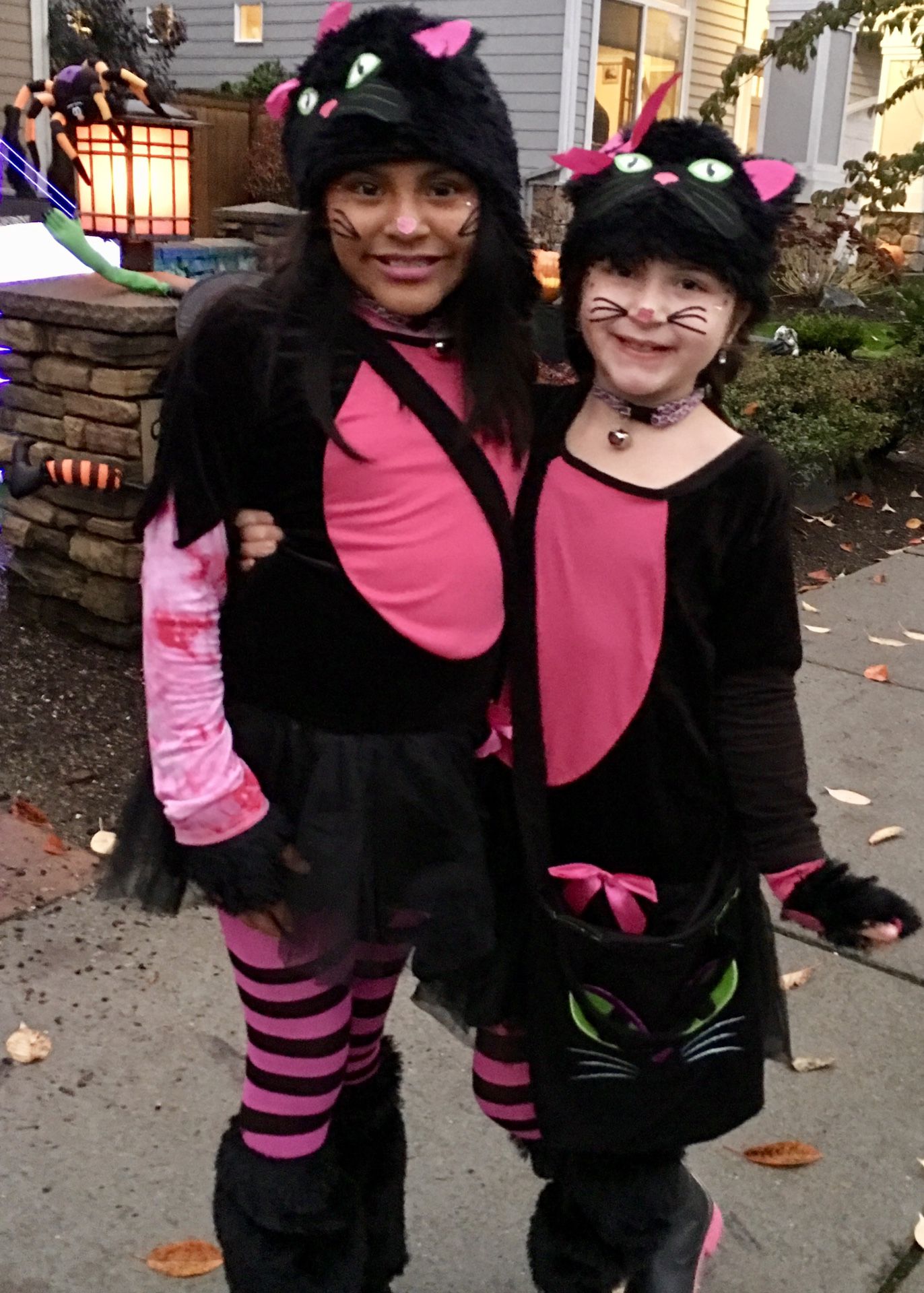 The Cat's Meow!! Cute and Sassy Black Kitty Cat Halloween Costume - Child Large