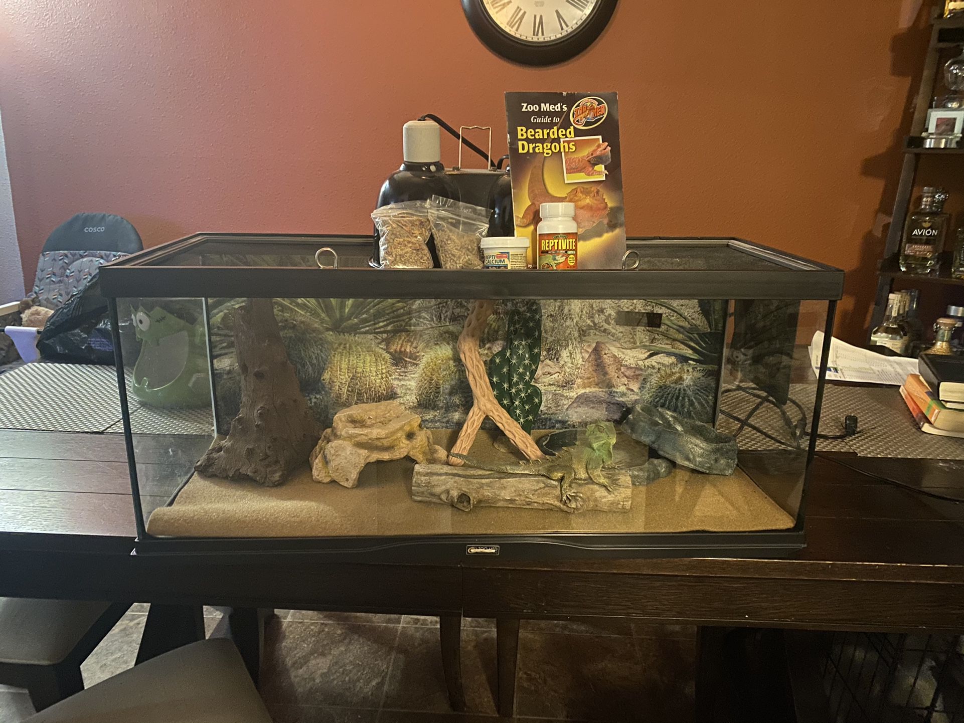 Bearded Dragon  Glass Tank With Lots Off Items