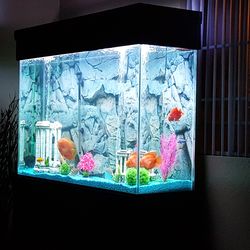 Fish tank