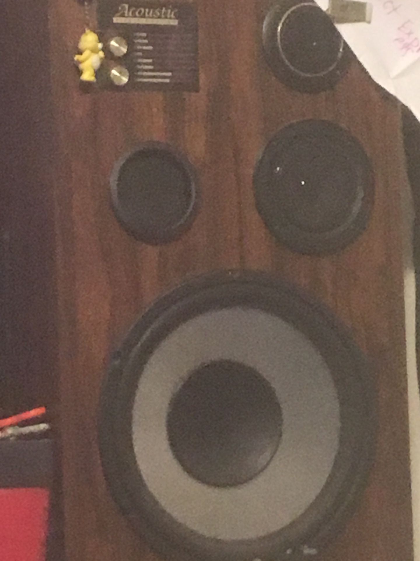 2 acoustic speakers