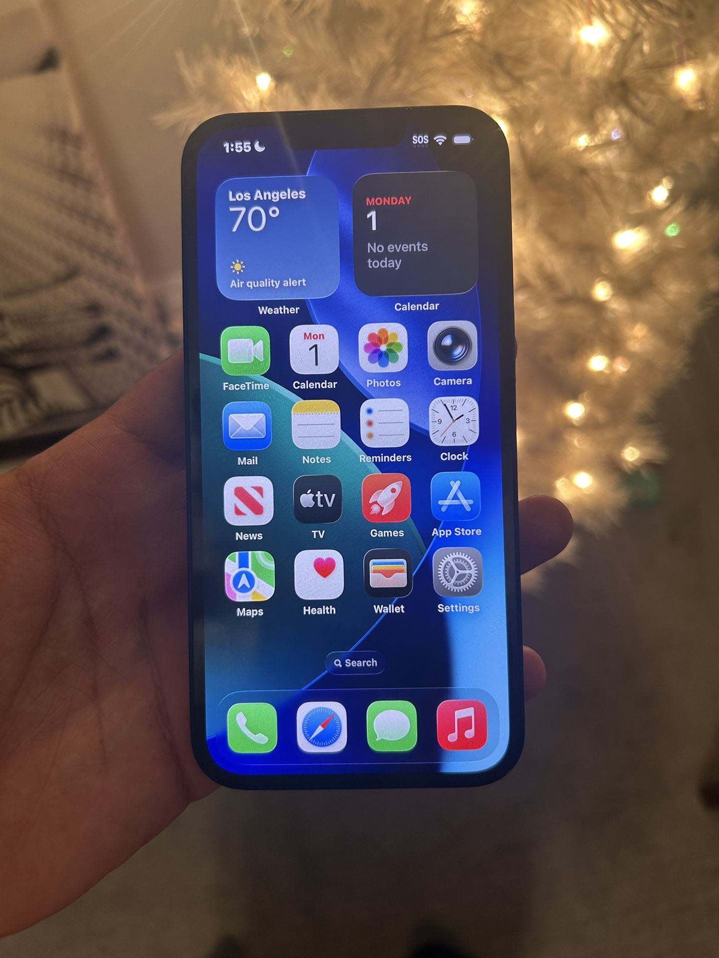 iPhone 13 carrier unlocked