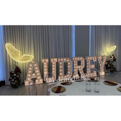Marquee Letters And LED Butterflies 