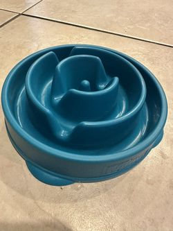Dog Bowl