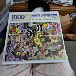 Puzzels 2