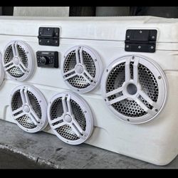 Custom cooler speaker