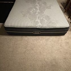Black beauty Rest Hybrid Plus Cal King
