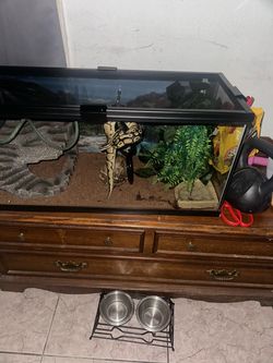 20 gallon glass enclosure with accessories (snake not included)