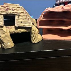 reptile decor