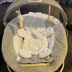 Baby Bouncer
