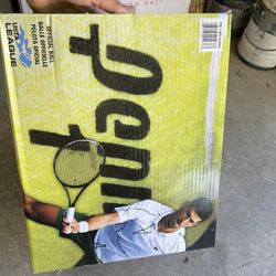 Penn Tennis Balls 