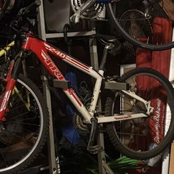 Trek 240 24” Kids Bike 