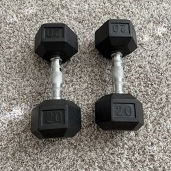 20 lb Dumbbells (Pair) – Rubber Hex