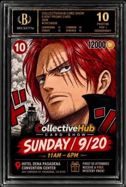 Pokémon one piece card