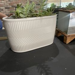 Succulent White Planter