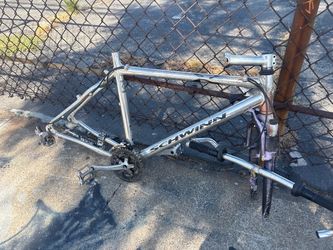 Schwinn project 20$
