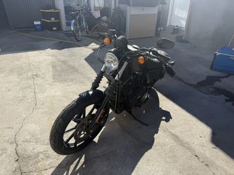 2020 Harley Davidson Iron 883