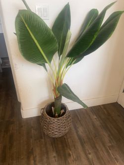 Plastic plant in nice pot