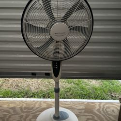 Fan