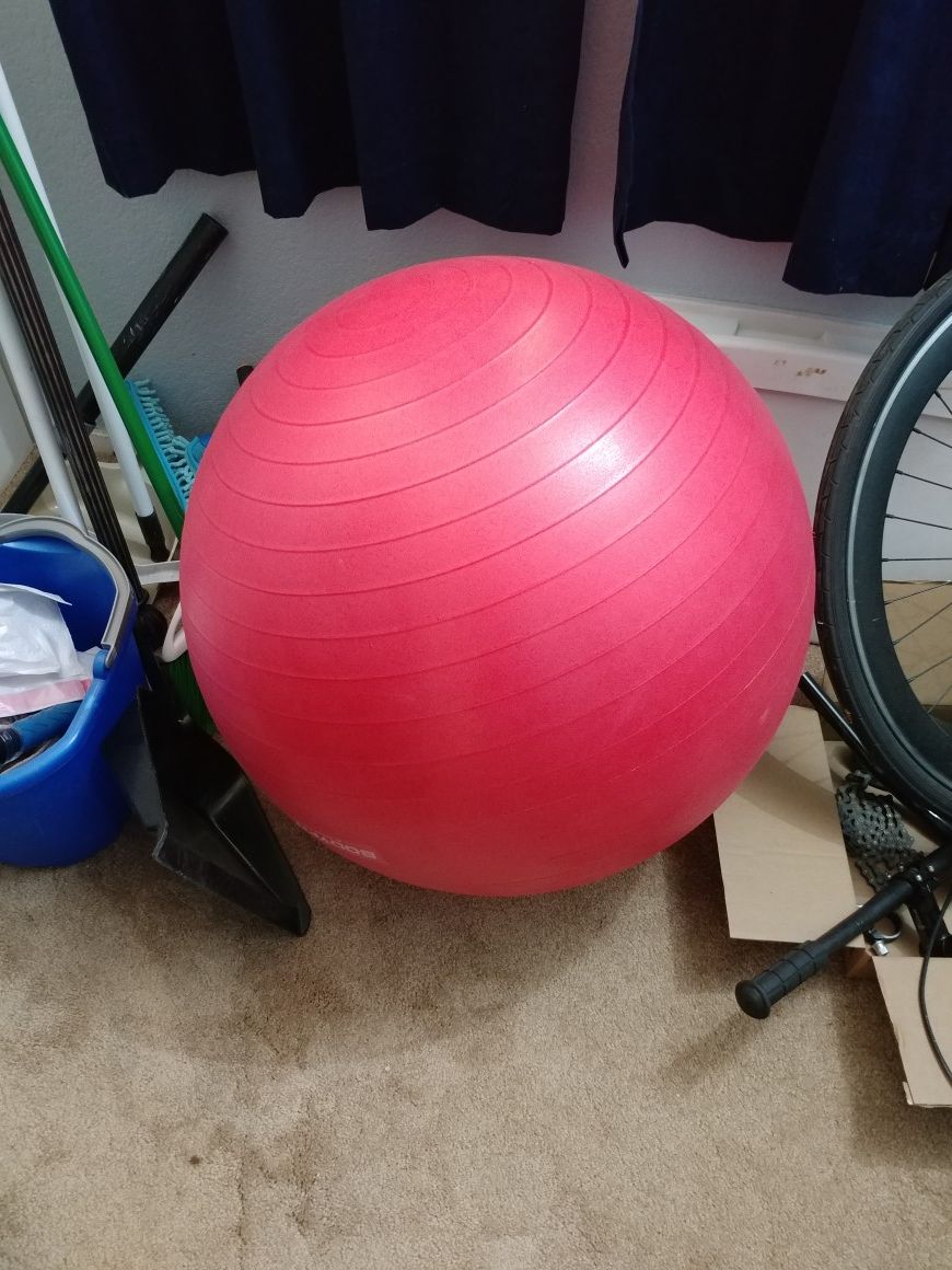 FREE His and her fitness balls and posters