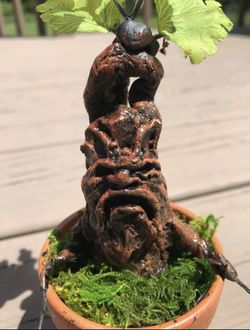 Mandrake Plant Harry Potter And The Chamber Of Secrets  