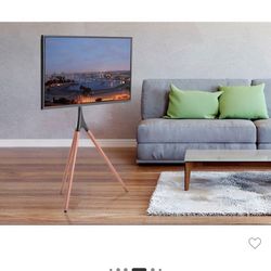 Monoprice Easel TV Stand &Mount for Displays 45” to 65”